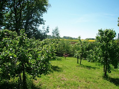 Pod Dębami Agroturystyka, Sarbinowo