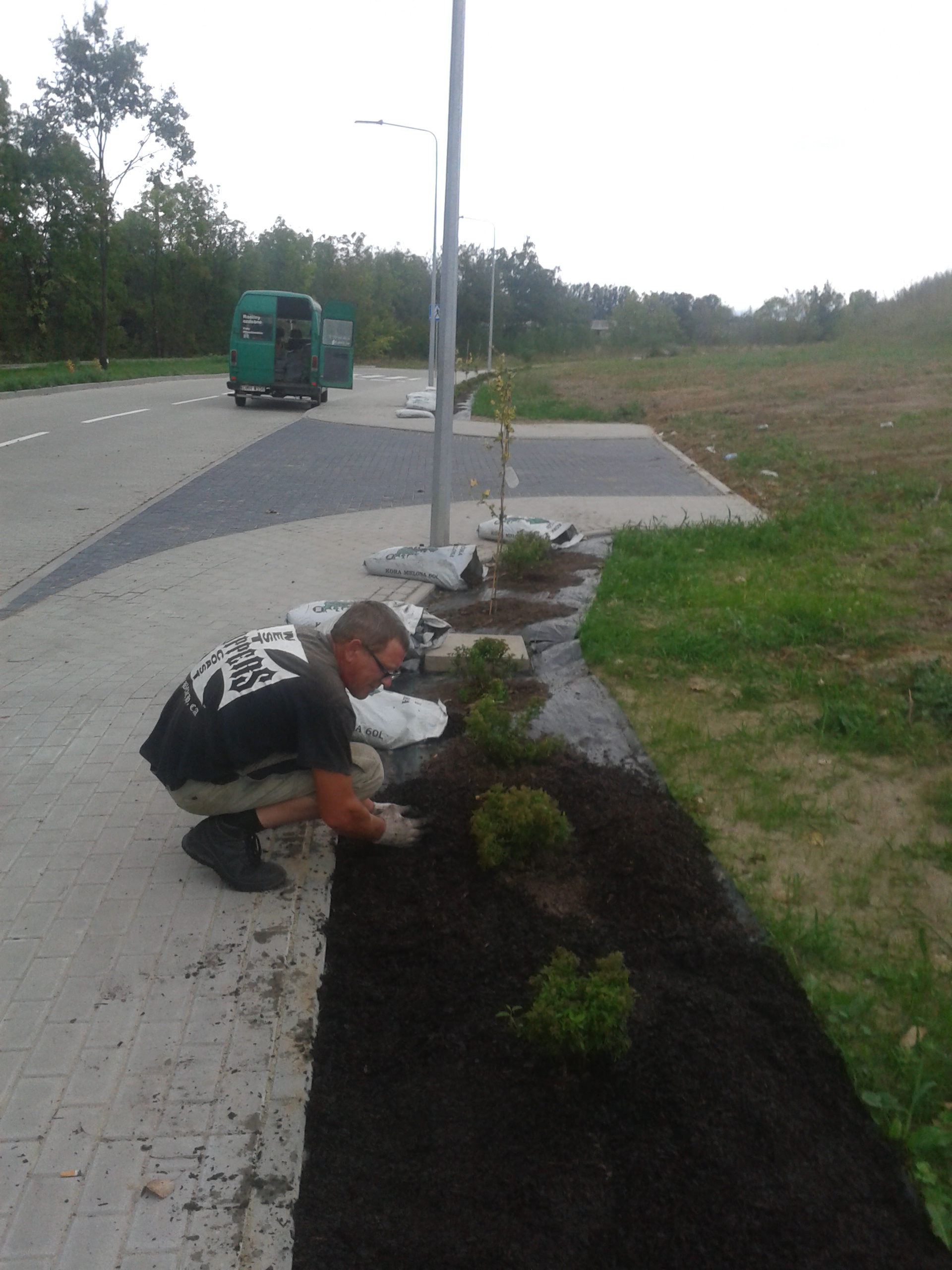 Szkółka Krzewów Ozdobnych,rosliny do ogrodu
