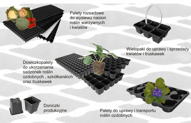 palety rozsadowe_doniczkopalety_wielodoniczki_produkcja rozsad wielkopolskie_tace wysiewne_tace