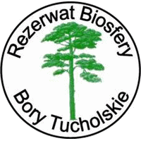 kaszuby pokoje_bory tucholskie agroturystyka_bory tucholskie wczasy_bory tucholskie pokoje_agrot